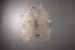 Brazilian Cow Hide - Large Hides - 2