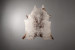 Brazilian Cow Hide - Large Hides - 2