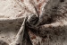 Brazilian Cow Hide - Large Hides - 3