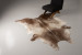 Brazilian Cow Hide - Large Hides - 1
