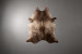 Brazilian Cow Hide - Large Hides - 2