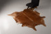 Brazilian Cow Hide - Large Hides - 1