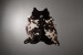 Brazilian Cow Hide - Large Hides - 2