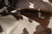 Brazilian Cow Hide - Large Hides - 4