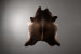 Brazilian Cow Hide - Large Hides - 2