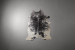 Brazilian Cow Hide - Medium Hides - 2