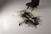 Brazilian Cow Hide - Medium Hides - 1