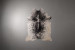 Brazilian Cow Hide - Medium Hides - 2