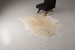 Brazilian Cow Hide - Medium Hides - 1