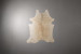 Brazilian Cow Hide - Medium Hides - 2