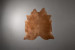 Brazilian Cow Hide - Medium Hides - 2