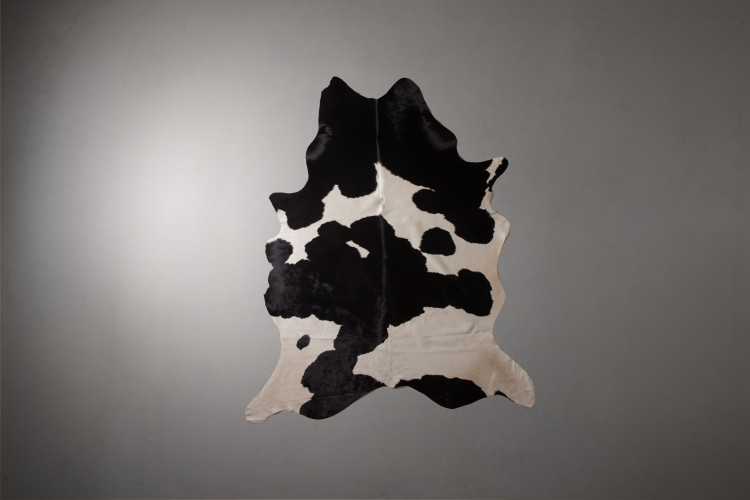 Brazilian Cow Hide - Medium Hides - 1