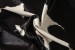 Brazilian Cow Hide - Medium Hides - 3