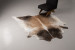 Brazilian Cow Hide - Medium Hides - 1