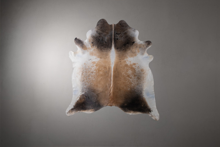 Brazilian Cow Hide - Medium Hides - 1