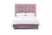 Ariella Maya Bed - Queen - Velvet Pink Epic Clearance Sale - 2