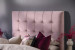 Ariella Maya Bed - Queen - Velvet Pink Epic Clearance Sale - 3