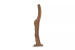 Demo - Teakroot Wine Rack Tree Demo Clearance - 2