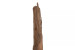 Demo - Teakroot Wine Rack Tree Demo Clearance - 4