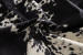 Nguni Cow Hide - Large Hides - 3