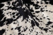 Nguni Cow Hide - Large Hides - 4
