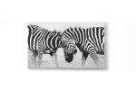 Zebra Fight Canvas Art
