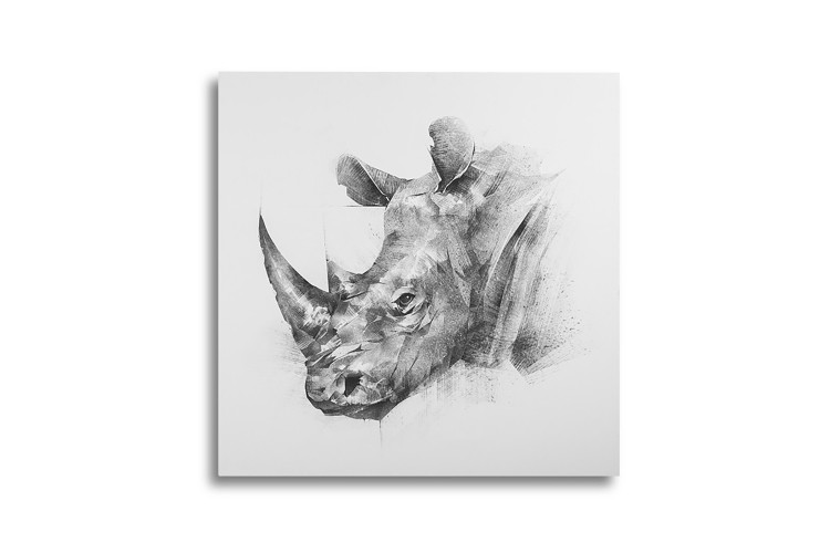 Rhino Abstract Canvas Art