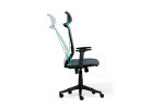 Clay Office Chair - Black | Office Chairs | Office | Chairs | Cielo -