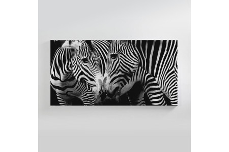Zebra Reflection Canvas Art