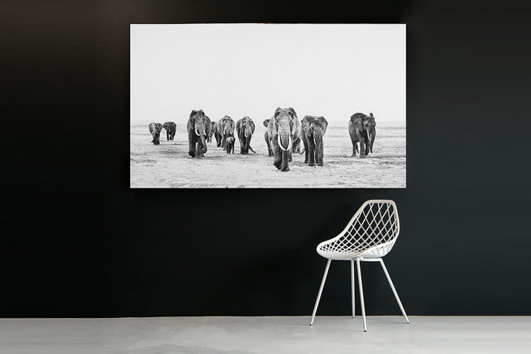 Elephant Walk - Large | Wall Art -