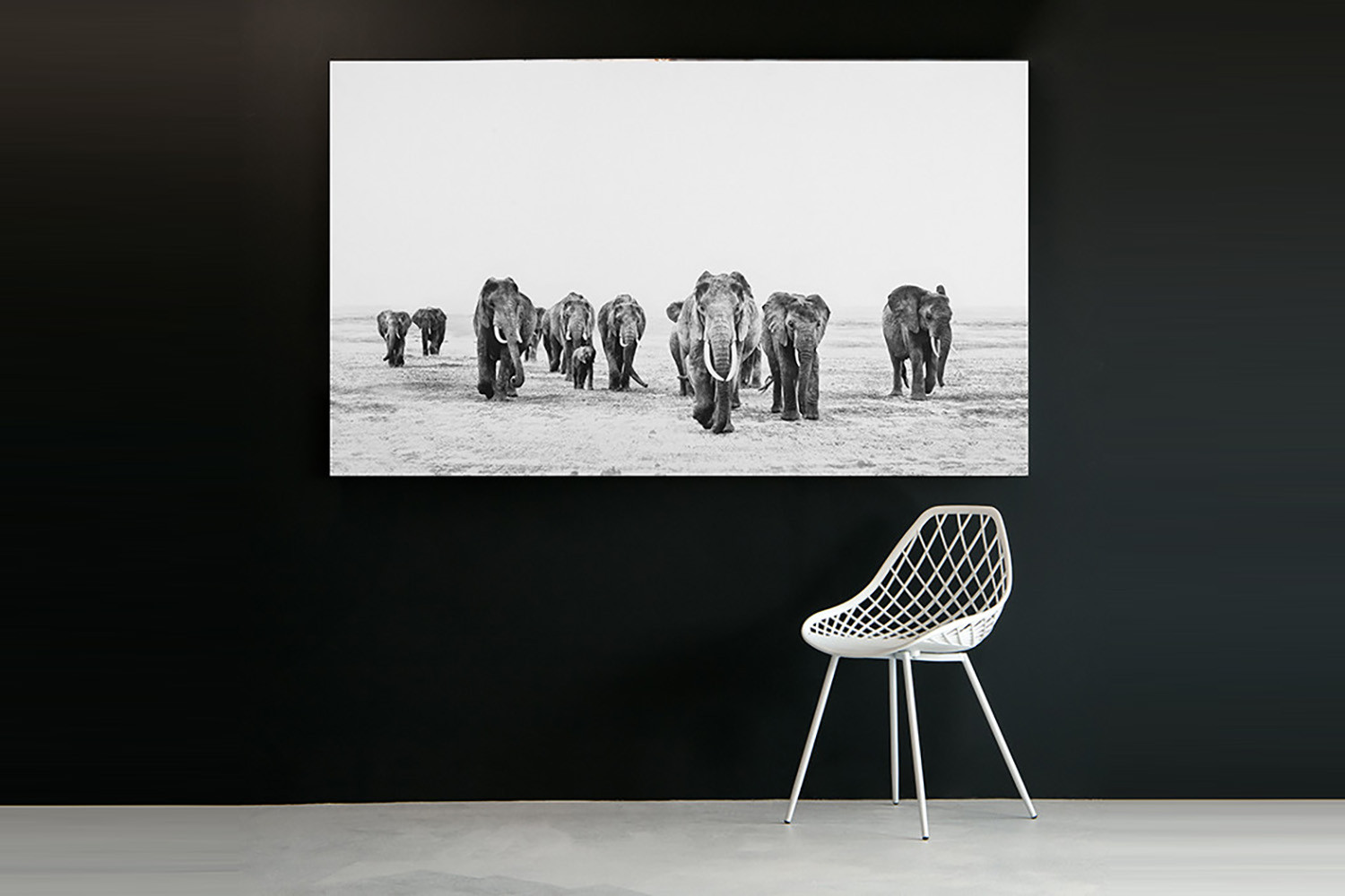 Elephant Walk - Large | Cielo