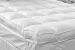 Duck Feather Queen Mattress Toppers for Sale -