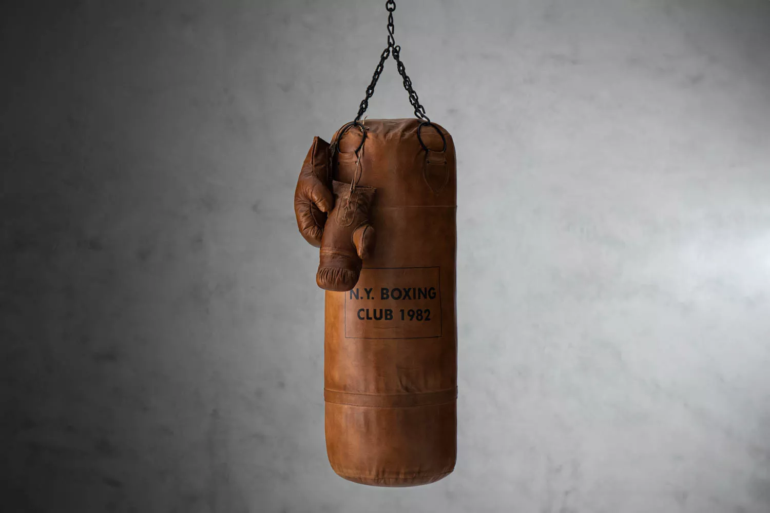 stallone boxing bag gloves cielo_stallone_boxing_bag_gloves